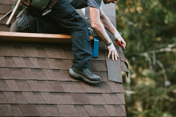 Best Roof Leak Repair  in Leipsic, OH